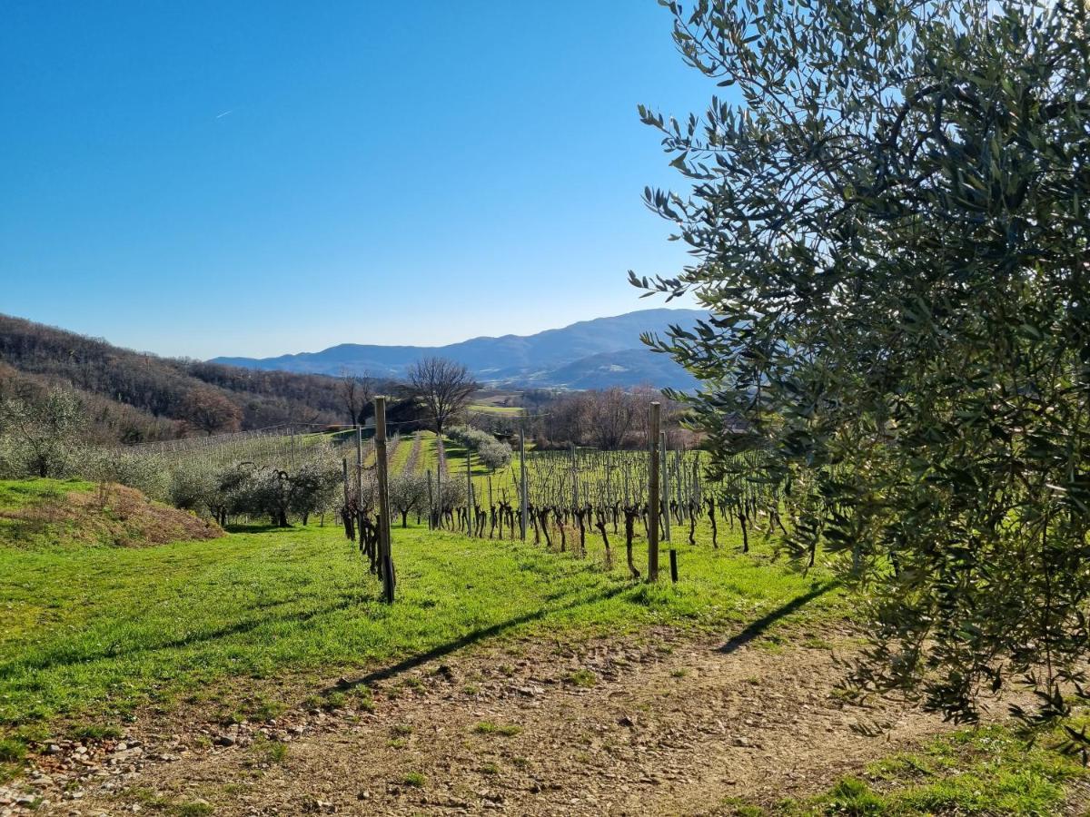 Walkandrace Sant'Agata  Zewnętrze zdjęcie